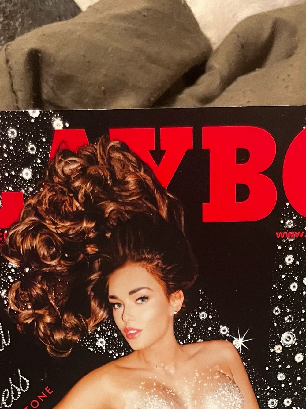 May 2013 Issue Of Playboy Magazine Cover Features Model Tamara Ecclestone